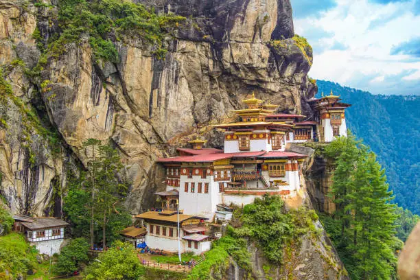 Legal Services and Lawyers in Paro | Basnet Attorneys & Law