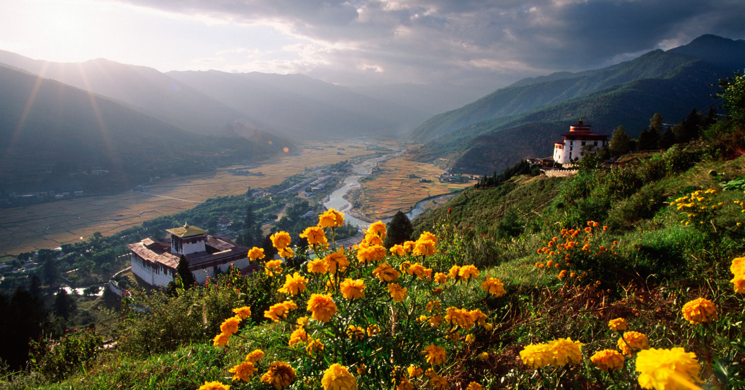 Business Formation and Licensing in Bhutan