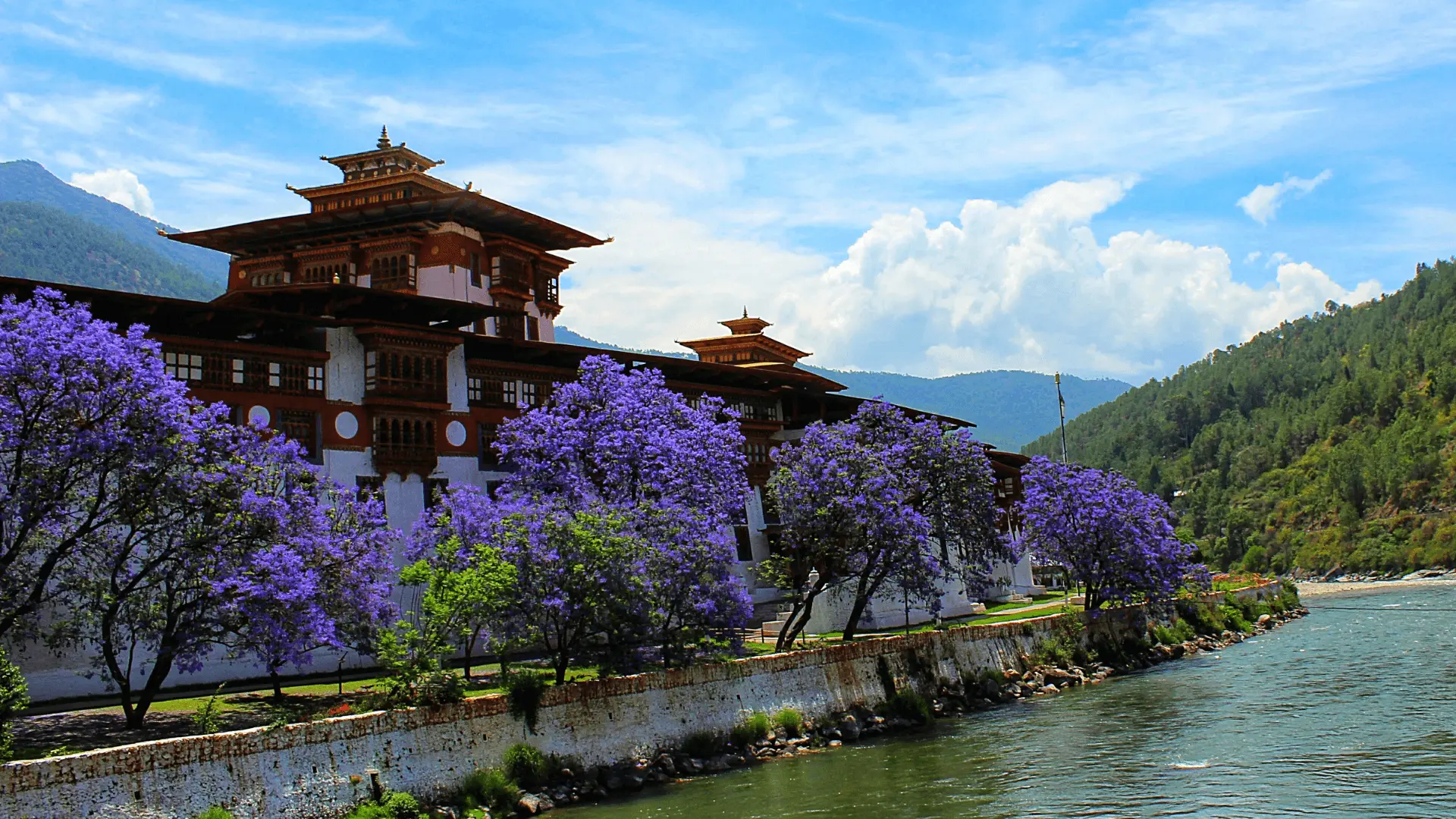 Law Firms and Practicing Lawyers in Bhutan